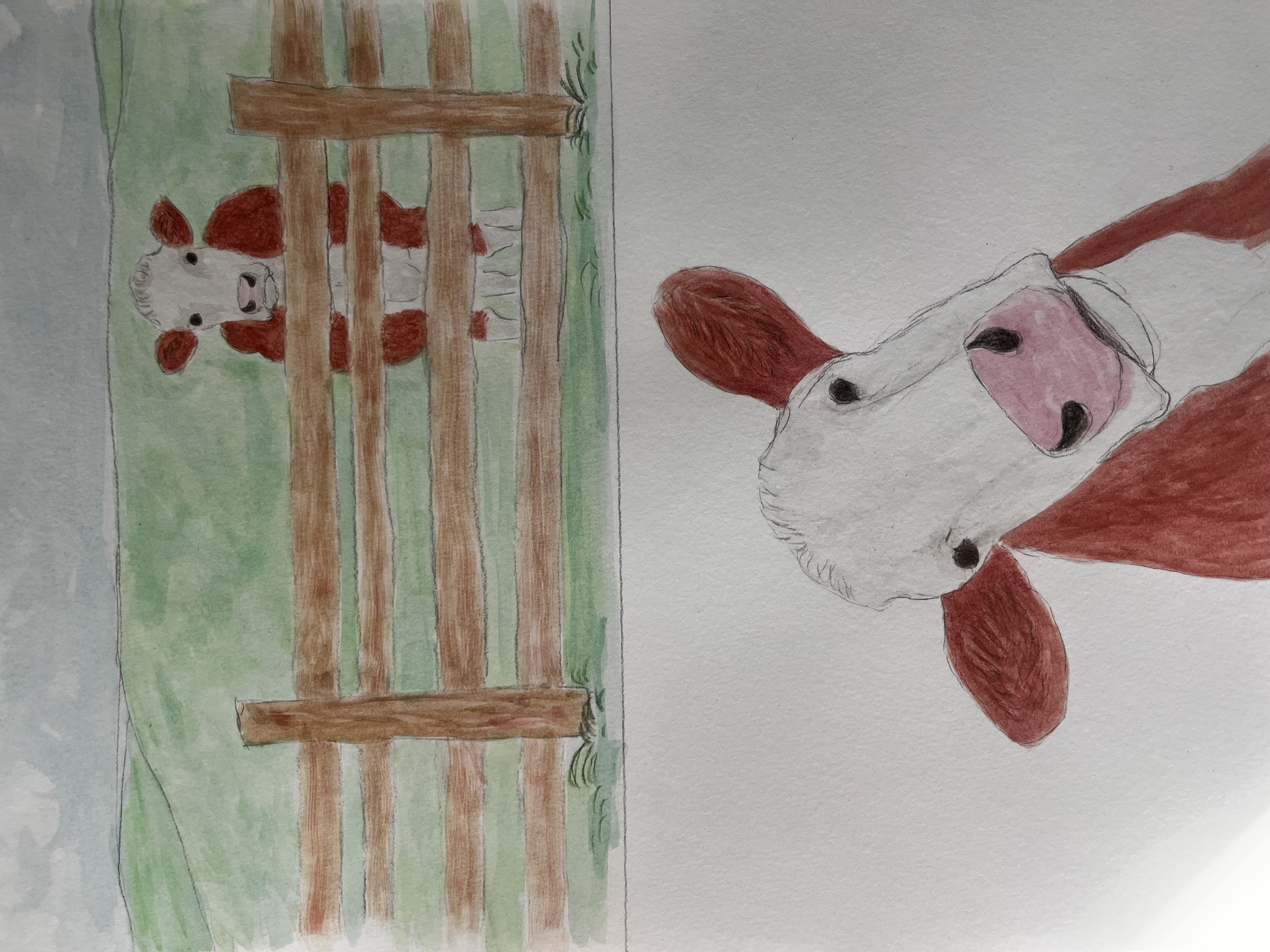 Bessie illustration V